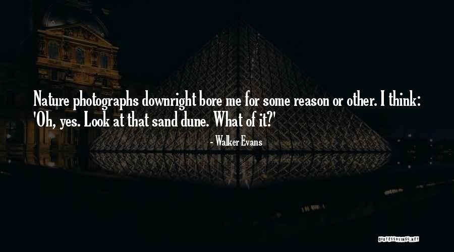 Nature Photography With Quotes By Walker Evans Nature Photography With Quotes By Walker Evans