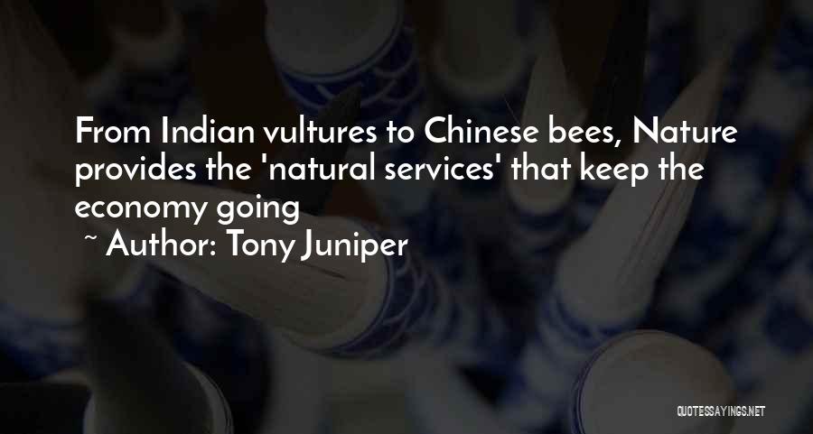 Nature Provides Quotes By Tony Juniper