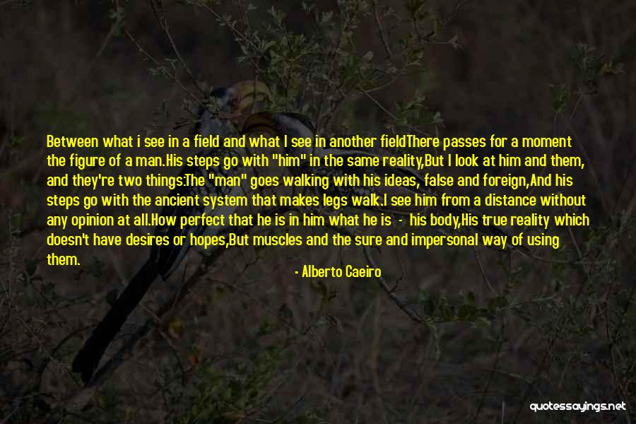 Nature Seeing Quotes By Alberto Caeiro Nature Seeing Quotes By Alberto Caeiro
