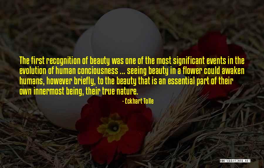 Nature Seeing Quotes By Eckhart Tolle Nature Seeing Quotes By Eckhart Tolle