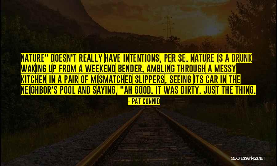 Nature Seeing Quotes By Pat Connid Nature Seeing Quotes By Pat Connid