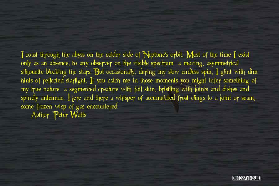 Nature Silhouette Quotes By Peter Watts