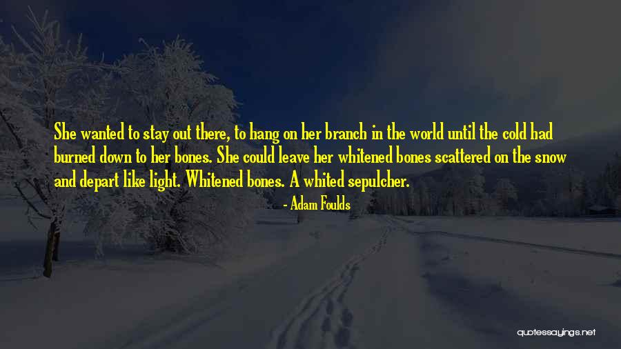 Nature Snow Quotes By Adam Foulds