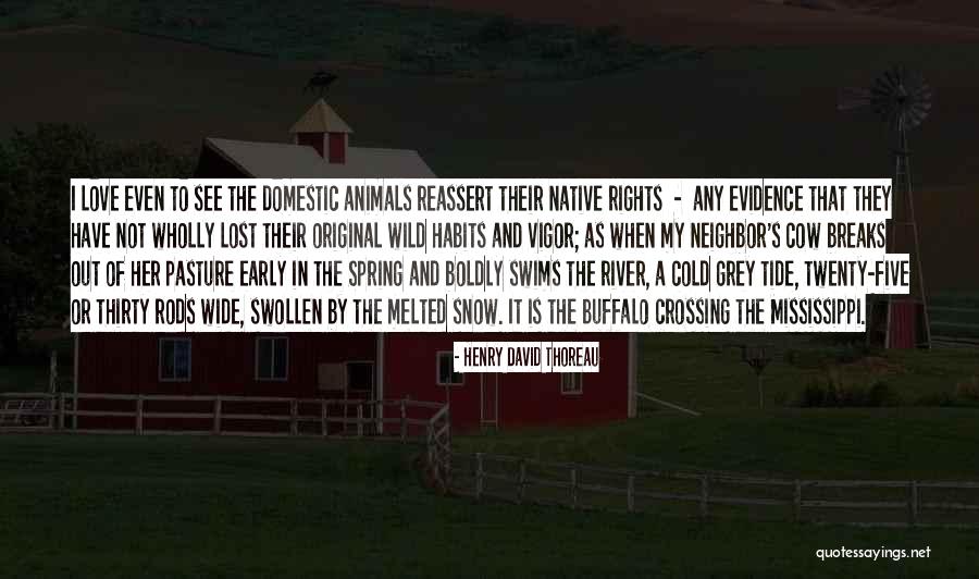 Nature Snow Quotes By Henry David Thoreau