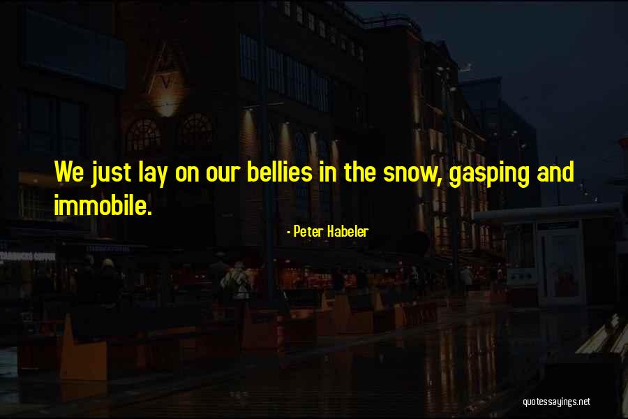 Nature Snow Quotes By Peter Habeler