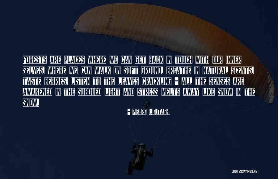 Nature Snow Quotes By Pierre Lieutaghi