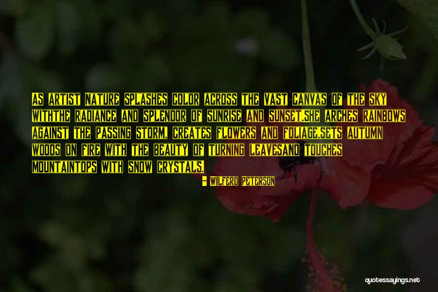 Nature Snow Quotes By Wilferd Peterson