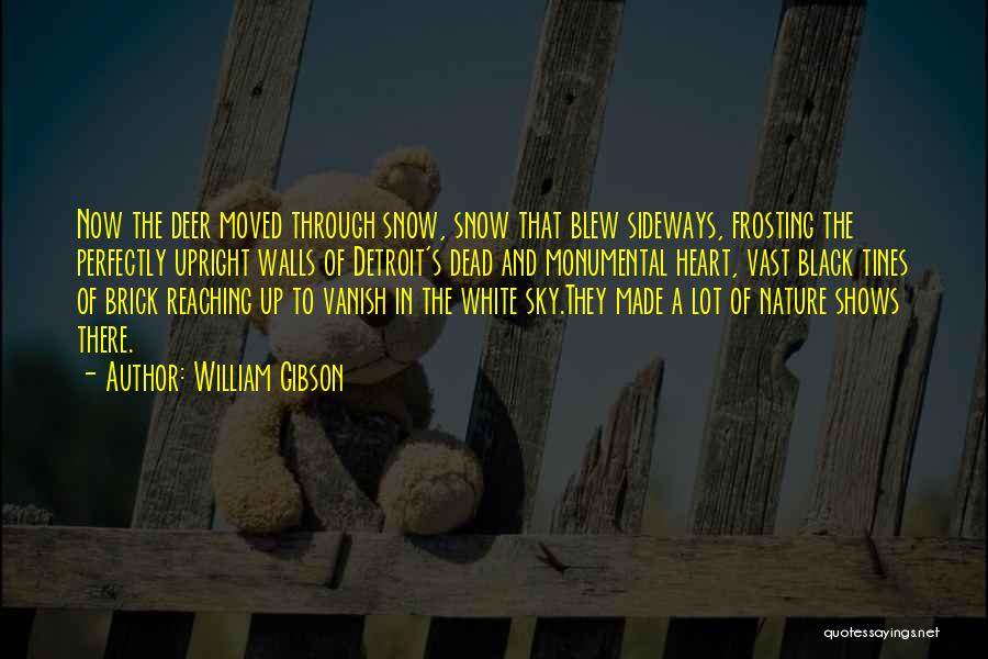 Nature Snow Quotes By William Gibson