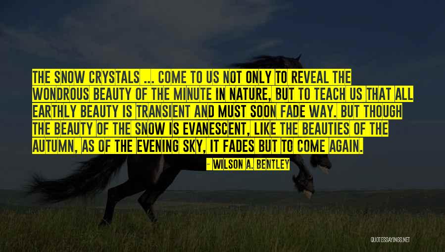 Nature Snow Quotes By Wilson A. Bentley