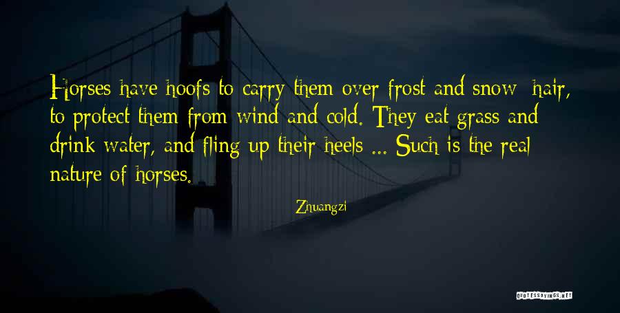 Nature Snow Quotes By Zhuangzi
