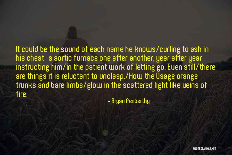 Nature Sound Quotes By Bryan Penberthy