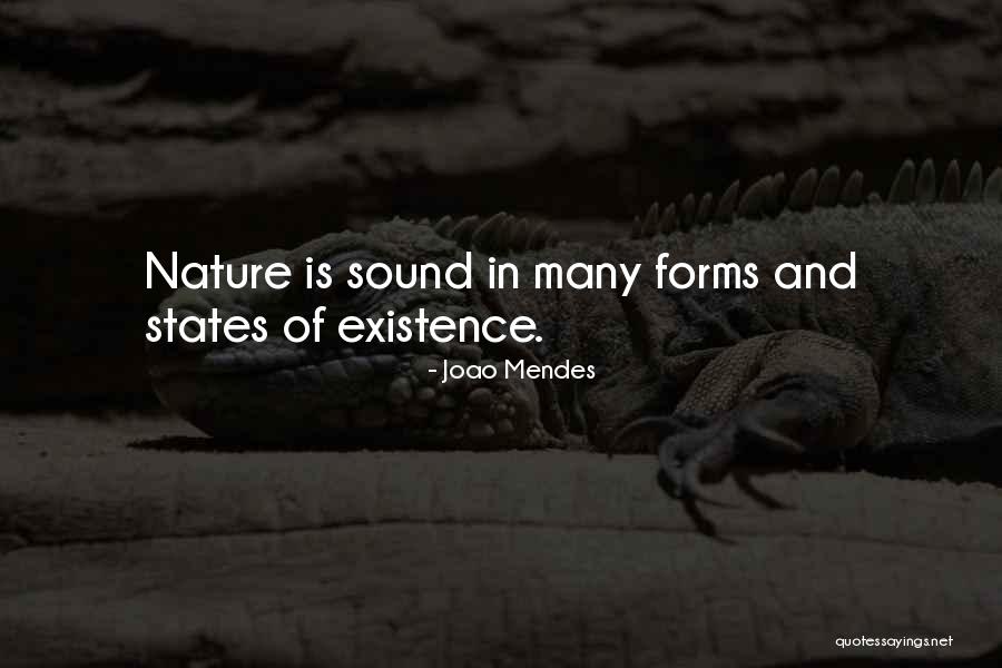 Nature Sound Quotes By Joao Mendes