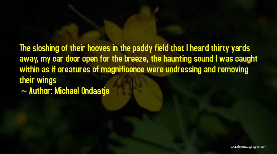 Nature Sound Quotes By Michael Ondaatje