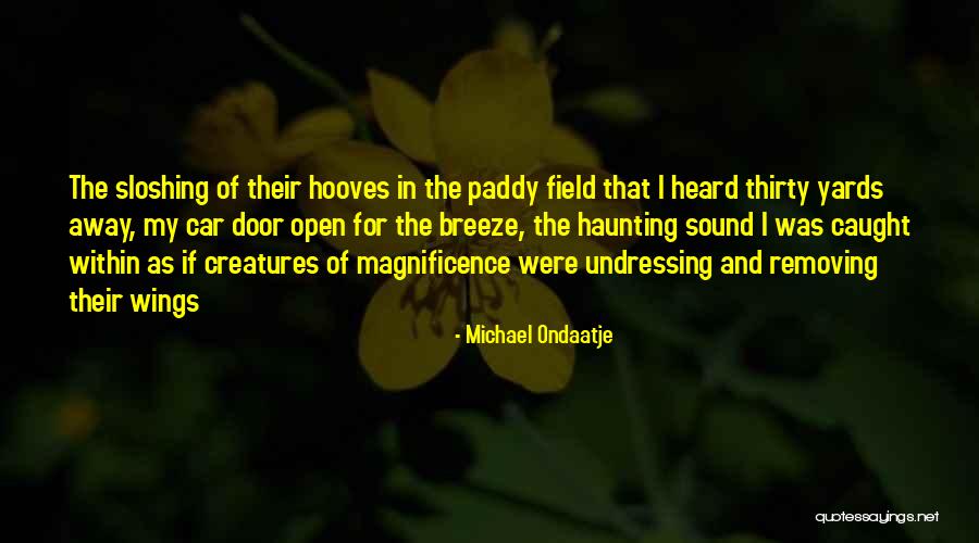 Nature Sound Quotes By Michael Ondaatje