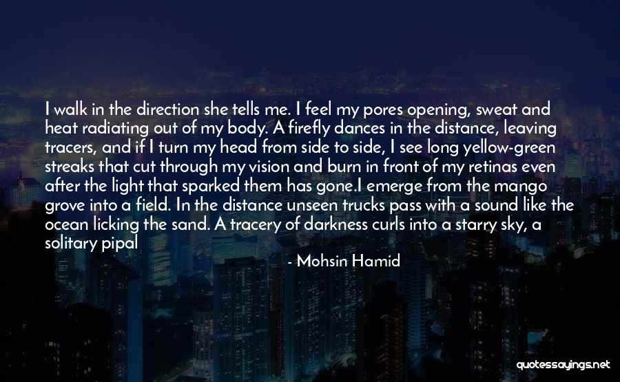 Nature Sound Quotes By Mohsin Hamid