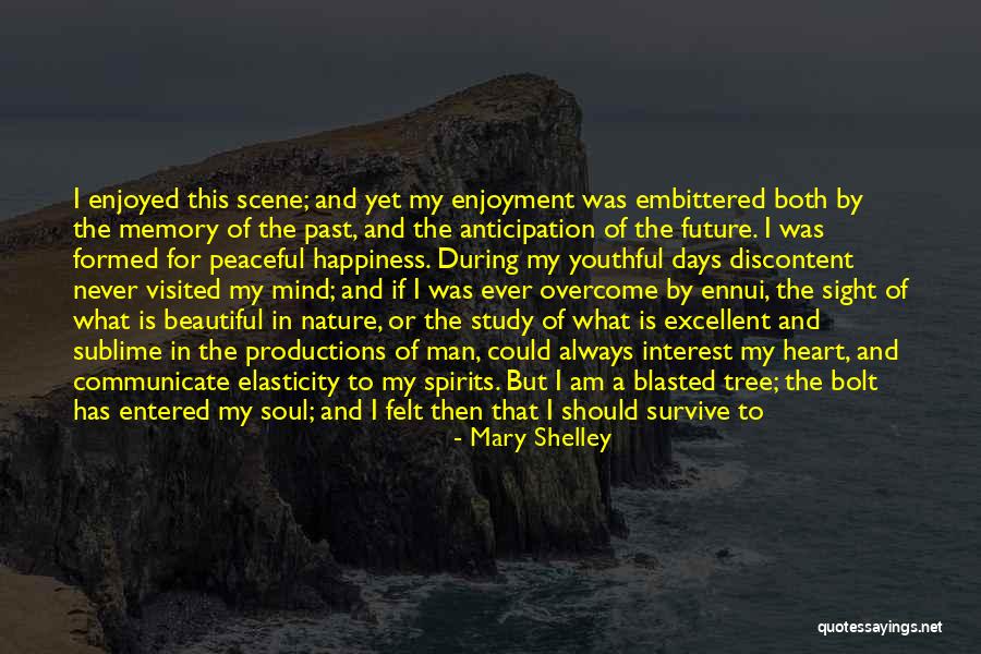 Nature Spirits Quotes By Mary Shelley Nature Spirits Quotes By Mary Shelley