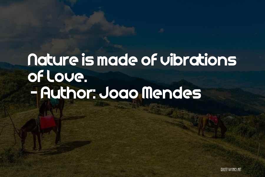 Nature Spirituality Quotes By Joao Mendes