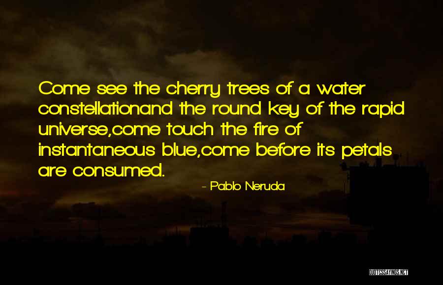 Nature Touch Quotes By Pablo Neruda Nature Touch Quotes By Pablo Neruda