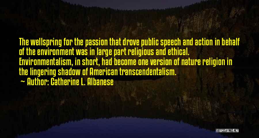 Nature Transcendentalism Quotes By Catherine L. Albanese