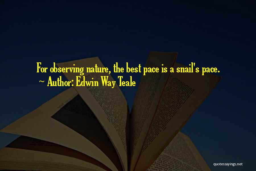 Nature Trekking Quotes By Edwin Way Teale