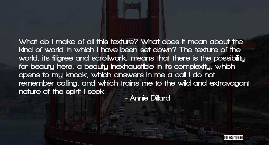 Nature What Does It Mean Quotes By Annie Dillard Nature What Does It Mean Quotes By Annie Dillard