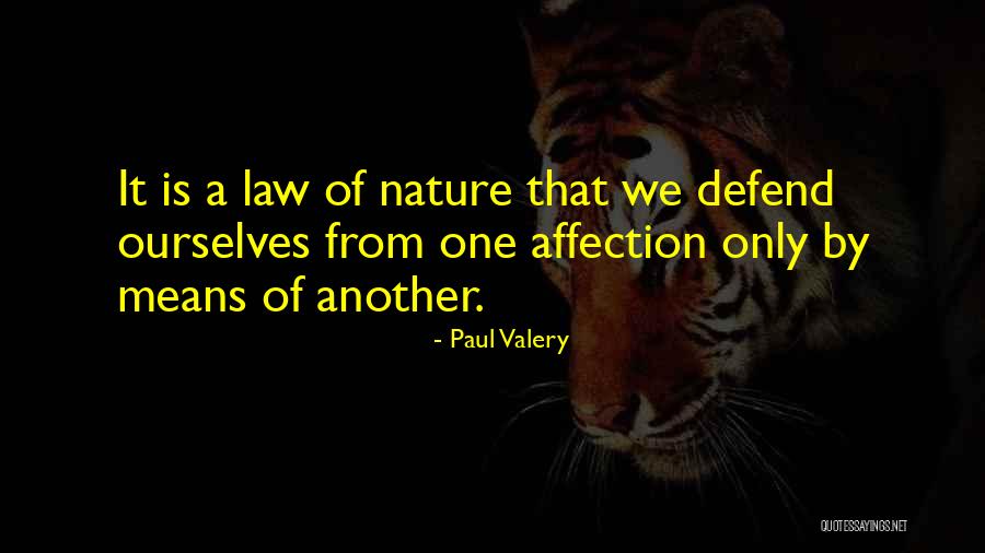 Nature What Does It Mean Quotes By Paul Valery Nature What Does It Mean Quotes By Paul Valery
