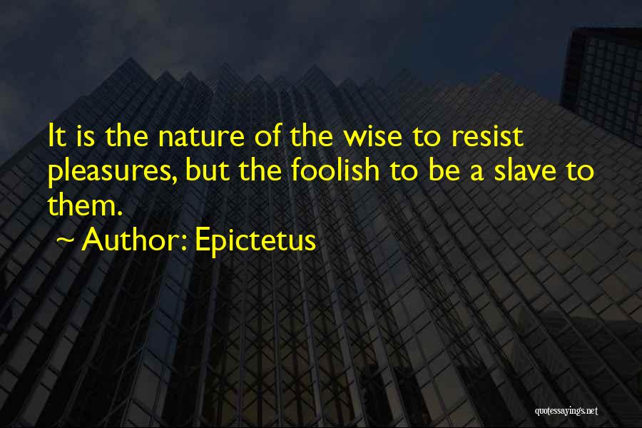 Nature Wise Quotes By Epictetus