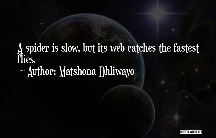 Nature Wise Quotes By Matshona Dhliwayo