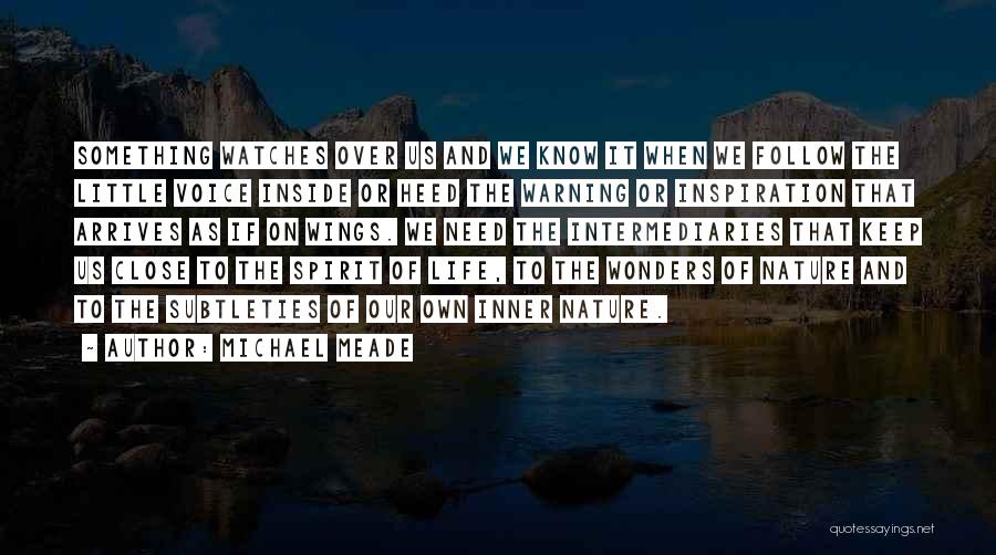 Nature Wonders Quotes By Michael Meade