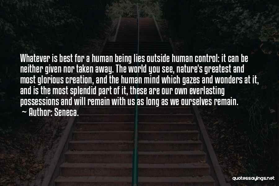 Nature Wonders Quotes By Seneca.