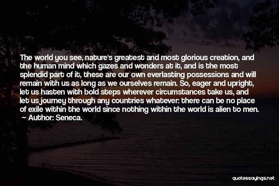 Nature Wonders Quotes By Seneca.
