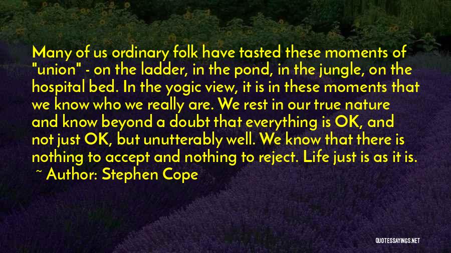 Nature Yoga Quotes By Stephen Cope