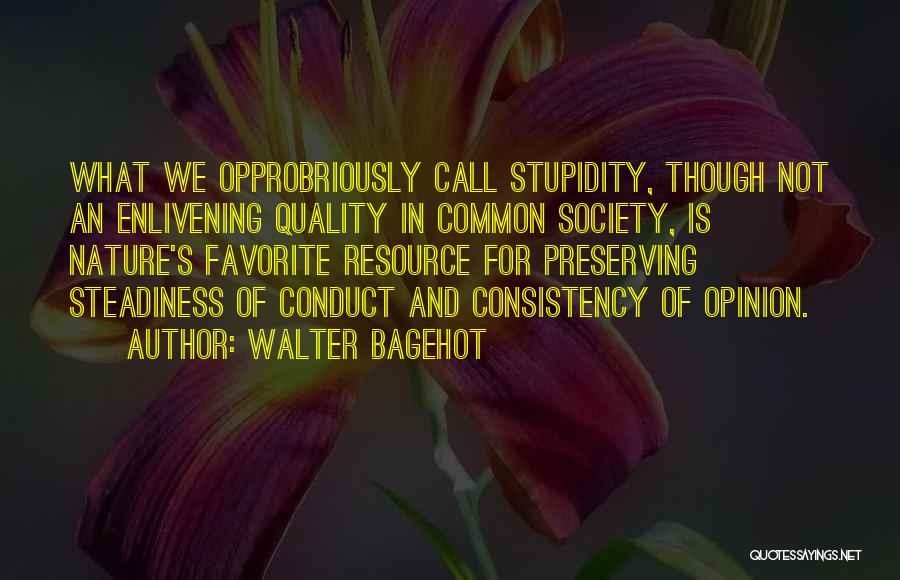 Nature's Call Quotes By Walter Bagehot