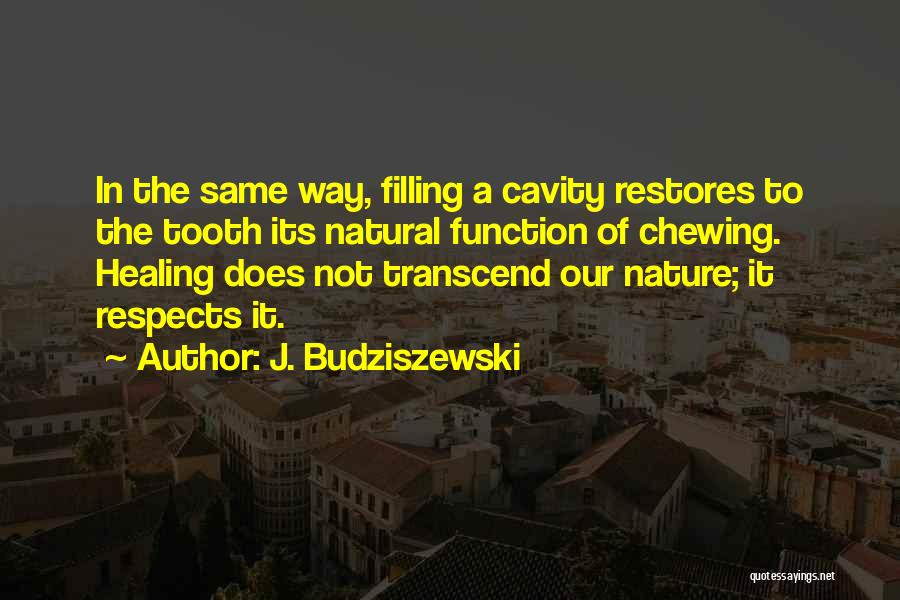 Nature's Healing Quotes By J. Budziszewski