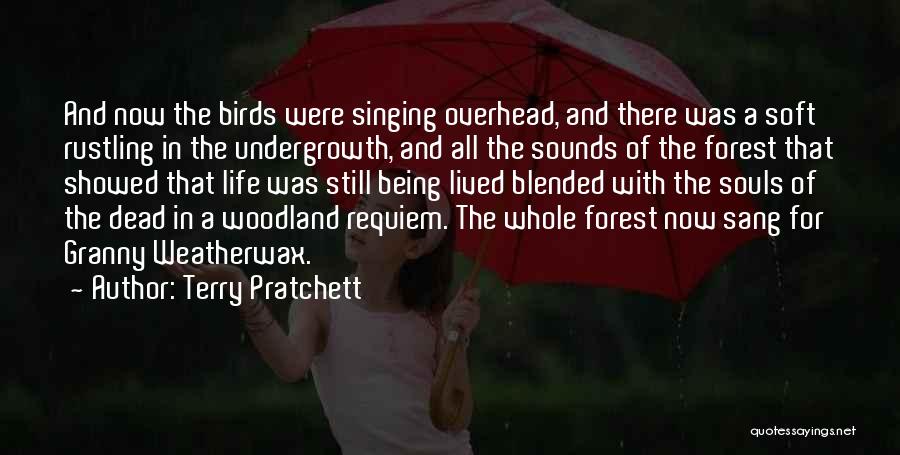 Nature's Healing Quotes By Terry Pratchett