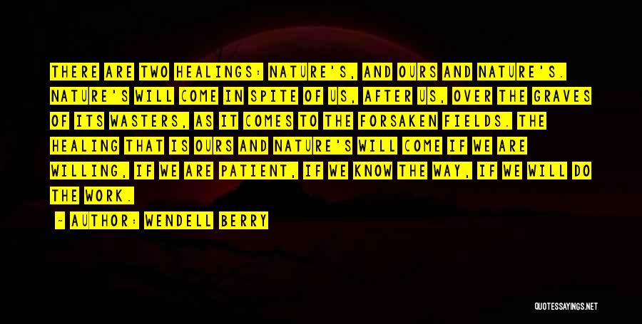 Nature's Healing Quotes By Wendell Berry