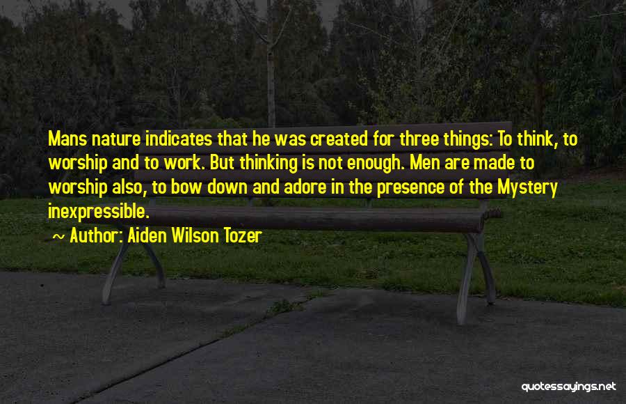 Nature's Mystery Quotes By Aiden Wilson Tozer