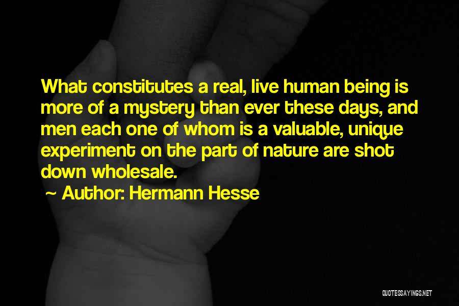 Nature's Mystery Quotes By Hermann Hesse