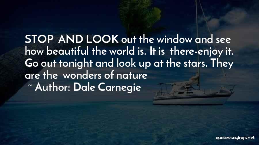Nature's Wonders Quotes By Dale Carnegie