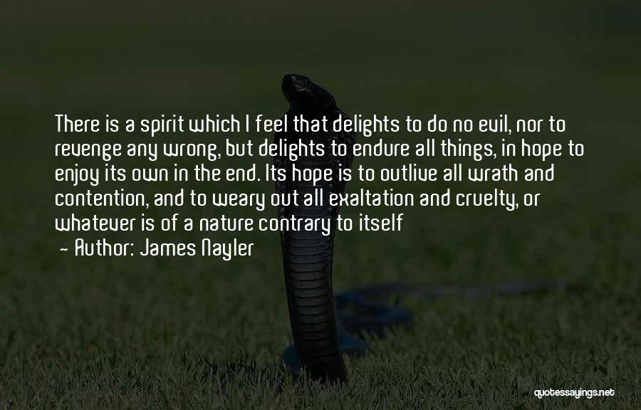 Nature's Wrath Quotes By James Nayler