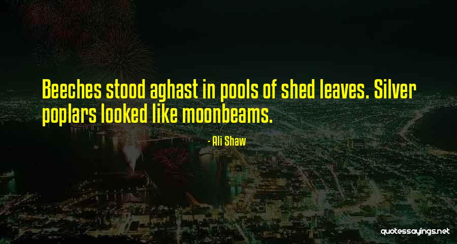 Natzlers Quotes By Ali Shaw Natzlers Quotes By Ali Shaw