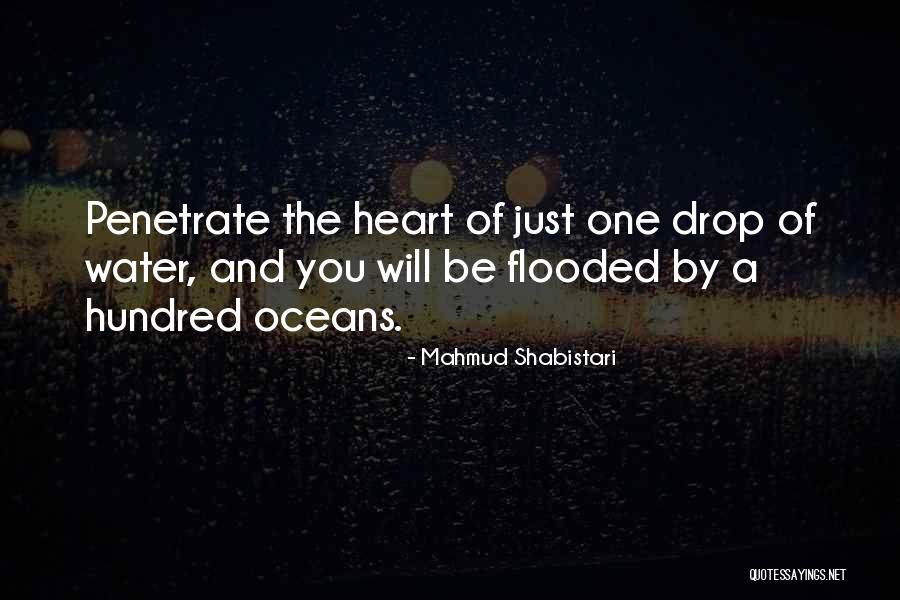 Naualli Quotes By Mahmud Shabistari Naualli Quotes By Mahmud Shabistari