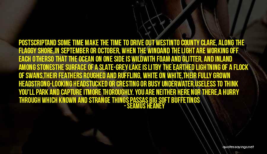 Nauczyciele Quotes By Seamus Heaney Nauczyciele Quotes By Seamus Heaney