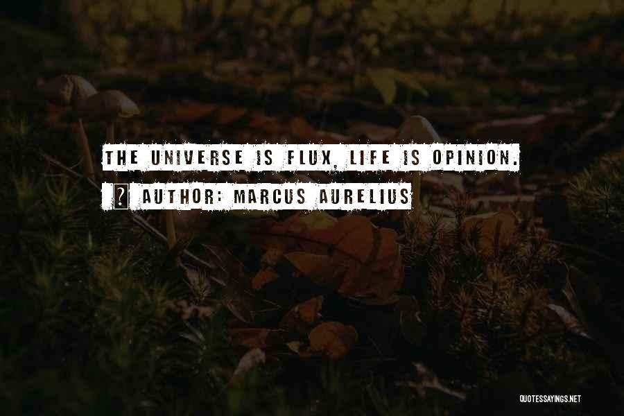 Naughtier Quotes By Marcus Aurelius