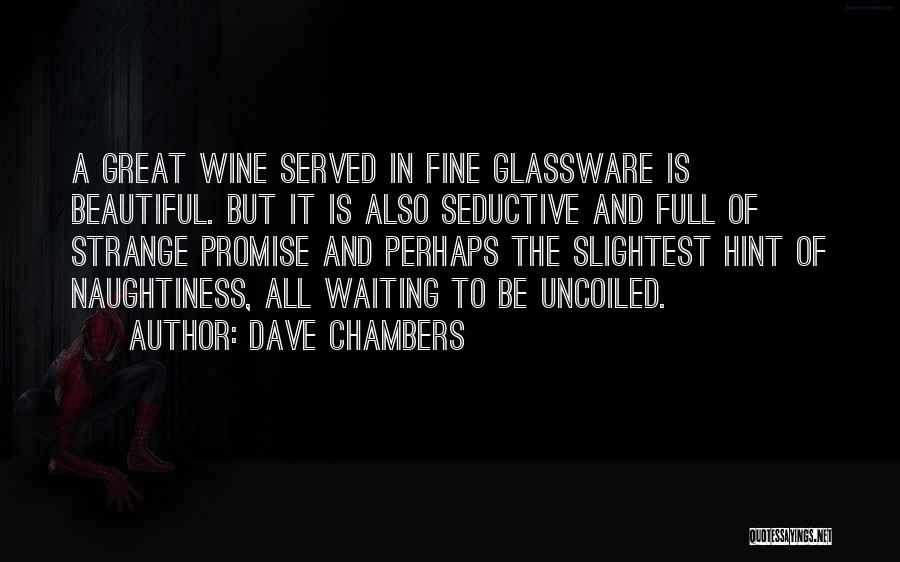 Naughtiness Quotes By Dave Chambers