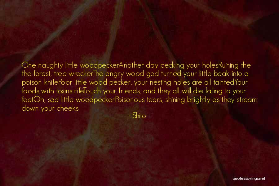 Naughty Friends Quotes By Shiro Naughty Friends Quotes By Shiro
