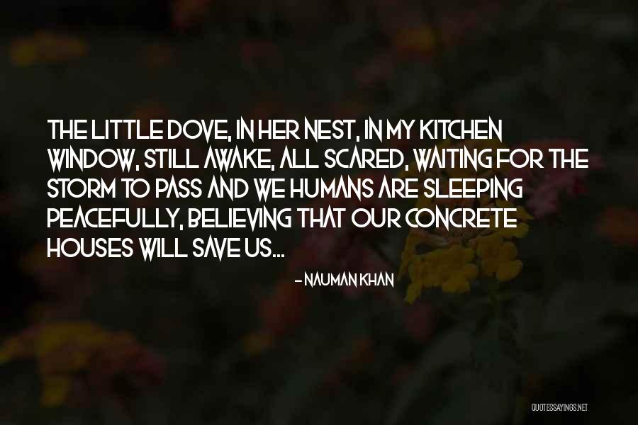 Nauman Khan Quotes 1926670