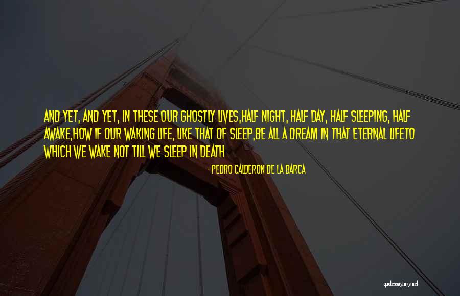 Nautel Quotes By Pedro Calderon De La Barca Nautel Quotes By Pedro Calderon De La Barca
