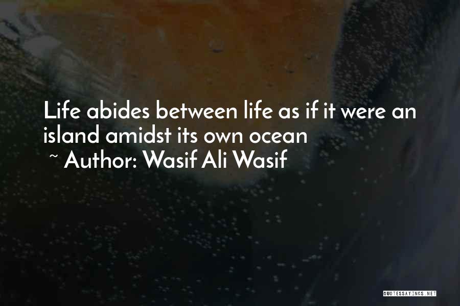 Navaid Symbols Quotes By Wasif Ali Wasif