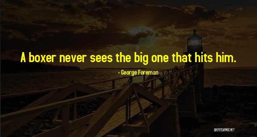 Navajas A La Quotes By George Foreman Navajas A La Quotes By George Foreman